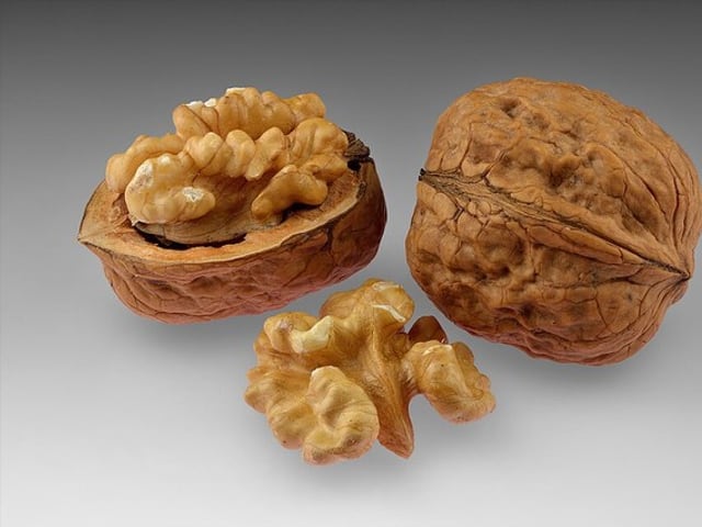 Fotografia real de ingrediente de referência para Chocolate caseiro com sementes e oleaginosas; não representa o resultado da receita.
